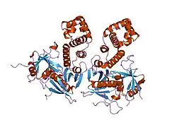 2al6: FERM domain of Focal Adhesion Kinase