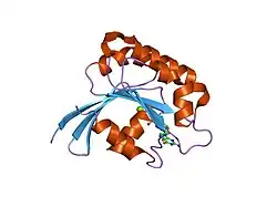 2al7: Structure Of Human ADP-Ribosylation Factor-Like 10C