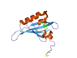 2b02: Crystal Structure of ARNT PAS-B Domain