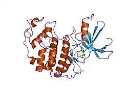 2b52: Human cyclin dependent kinase 2 (CDK2) complexed with DPH-042562