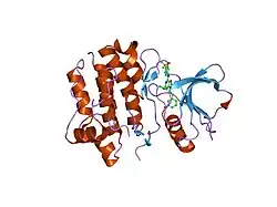 2bdj: Src kinase in complex with inhibitor AP23464