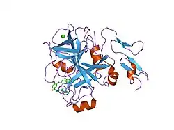 2bmg: CRYSTAL STRUCTURE OF FACTOR XA IN COMPLEX WITH 50