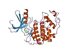 2bts: STRUCTURE OF CDK2 COMPLEXED WITH PNU-230032