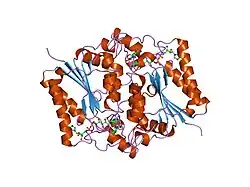 2bzs: BINDING OF ANTI-CANCER PRODRUG CB1954 TO THE ACTIVATING ENZYME NQO2 REVEALED BY THE CRYSTAL STRUCTURE OF THEIR COMPLEX.