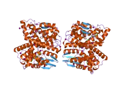 2c3q: HUMAN GLUTATHIONE-S-TRANSFERASE T1-1 W234R MUTANT, COMPLEX WITH S-HEXYLGLUTATHIONE