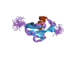 2c7h: SOLUTION NMR STRUCTURE OF THE DWNN DOMAIN FROM HUMAN RBBP6