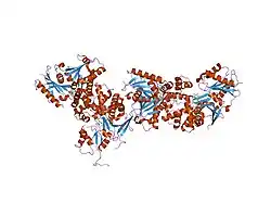 2ch6: CRYSTAL STRUCTURE OF HUMAN N-ACETYLGLUCOSAMINE KINASE IN COMPLEX WITH ADP AND GLUCOSE