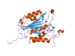 2cjx: EXTENDED SUBSTRATE RECOGNITION IN CASPASE-3 REVEALED BY HIGH RESOLUTION X-RAY STRUCTURE ANALYSIS