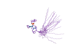 2csz: Solution Structure of the RING domain of the Synaptotagmin-like protein 4