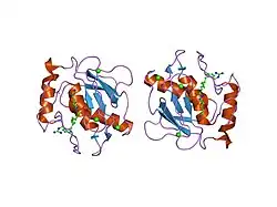 2d1n: Collagenase-3 (MMP-13) complexed to a hydroxamic acid inhibitor