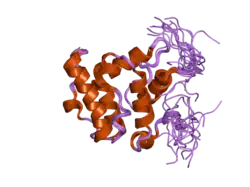 2d86: Solution structure of the CH domain from human Vav-3 protein