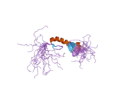 2d9k: Solution structure of the zf-TRAF domain of FLN29 gene product