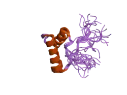 2do5: Solution structure of the SAP domain of human splicing factor 3B subunit 2