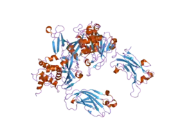 2f1z: Crystal structure of HAUSP