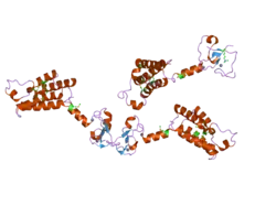 2f6j: Crystal structure of PHD finger-linker-bromodomain fragment of human BPTF in the H3(1-15)K4me3 bound state