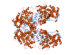 2fdu: Microsomal P450 2A6 with the inhibitor N,N-Dimethyl(5-(pyridin-3-yl)furan-2-yl)methanamine bound