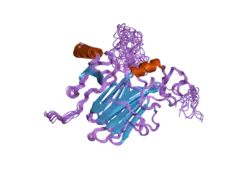 2fin: Solution Structure of the complex between poxvirus-encoded CC chemokine inhibitor vCCI and human MIP-1beta, ensemble structure