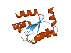 2fls: Crystal structure of Human Glutaredoxin 2 complexed with glutathione
