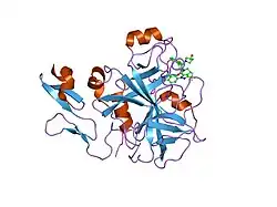 2fzz: Factor Xa in complex with the inhibitor 1-(3-amino-1,2-benzisoxazol-5-yl)-6-(2'-(((3r)-3-hydroxy-1-pyrrolidinyl)methyl)-4-biphenylyl)-3-(trifluoromethyl)-1,4,5,6-tetrahydro-7h-pyrazolo[3,4-c]pyridin-7-one