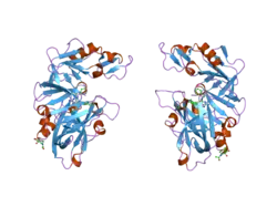 2g22: Ketopiperazine-Based Renin Inhibitors: Optimization of the ""C"" Ring