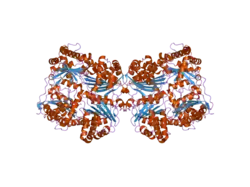 2g47: Crystal structure of human insulin-degrading enzyme in complex with amyloid-beta (1-40)