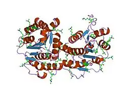 2g9n: Structure of the DEAD domain of Human eukaryotic initiation factor 4A, eIF4A