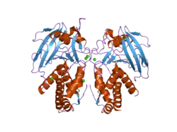 2gjt: Crystal structure of the human receptor phosphatase PTPRO