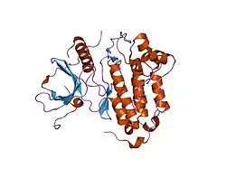 2gs2: Crystal Structure of the active EGFR kinase domain