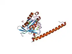 2gzh: Crystal Structure of Rab11 in Complex with Rab11-Family Interacting Protein 2