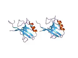 2h3l: Crystal Structure of ERBIN PDZ