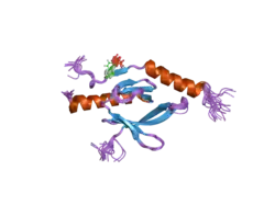 2h7d: Solution structure of the talin F3 domain in complex with a chimeric beta3 integrin-PIP kinase peptide