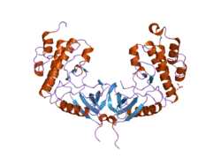 2hw6: Crystal structure of Mnk1 catalytic domain