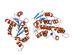 2i4i: Crystal Structure of human DEAD-box RNA helicase DDX3X