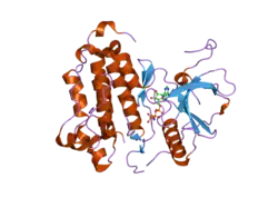 2itv: CRYSTAL STRUCTURE OF EGFR KINASE DOMAIN L858R MUTATION IN COMPLEX WITH AMP-PNP