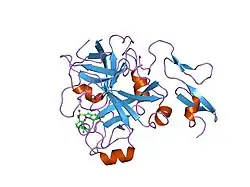 2j2u: CRYSTAL STRUCTURE OF A HUMAN FACTOR XA INHIBITOR COMPLEX