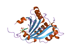 2jgb: STRUCTURE OF HUMAN EIF4E HOMOLOGOUS PROTEIN 4EHP WITH M7GTP