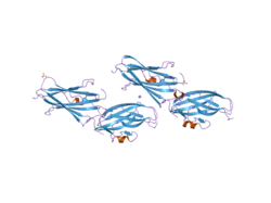 2jht: CRYSTAL STRUCTURE OF RHOGDI K135T,K138T,K141T MUTANT