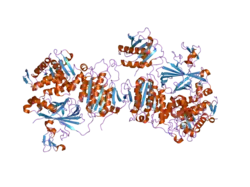 2nup: Crystal Structure of the human Sec23a/24a heterodimer, complexed with the SNARE protein Sec22b