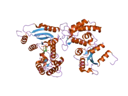 2o3t: Structural Basis for Formation and Hydrolysis of Calcium Messenger Cyclic ADP-ribose by Human CD38