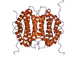2oie: Crystal structure of RS21-C6 core segment RSCUT