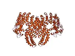 2pkg: Structure of a complex between the A subunit of protein phosphatase 2A and the small t antigen of SV40