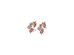 2pnr: Crystal Structure of the asymmetric Pdk3-l2 Complex