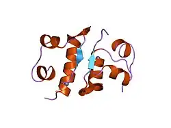 2tci: X-RAY CRYSTALLOGRAPHIC STUDIES ON HEXAMERIC INSULINS IN THE PRESENCE OF HELIX-STABILIZING AGENTS, THIOCYANATE, METHYLPARABEN AND PHENOL