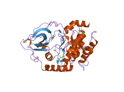 2uw3: STRUCTURE OF PKA-PKB CHIMERA COMPLEXED WITH 5-METHYL-4-PHENYL-1H-PYRAZOLE
