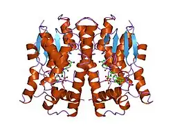 3ljr: GLUTATHIONE TRANSFERASE (THETA CLASS) FROM HUMAN IN COMPLEX WITH THE GLUTATHIONE CONJUGATE OF 1-MENAPHTHYL SULFATE