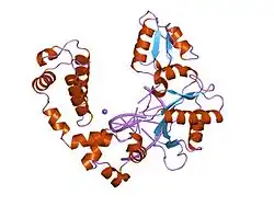 7icn: DNA POLYMERASE BETA (E.C.2.7.7.7)/DNA COMPLEX, SOAKED IN THE PRESENCE OF NICL2
