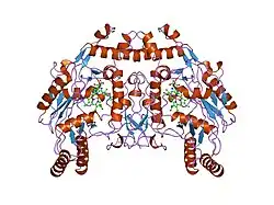 7nse: BOVINE ENDOTHELIAL NITRIC OXIDE SYNTHASE, H4B-FREE, ADMA COMPLEX