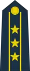Colonel
