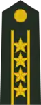 Colonel Commandant