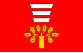 Flag of Gmina Hańsk